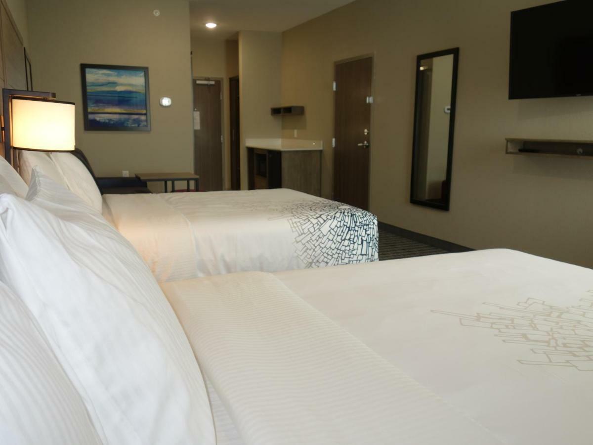 La Quinta By Wyndham San Antonio Alamo City Экстерьер фото